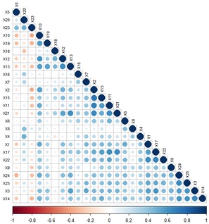 Winsteps-R Colored Correlation Plot